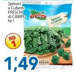 Sidis Spinaci a Cubetti FRESCHI di CAMPO offerta
