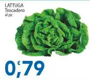 Sidis LATTUGA Trocadero offerta