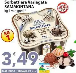 Sidis Sorbettiera Variegata SAMMONTANA offerta