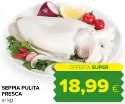 Tigre Seppia pulita fresca offerta