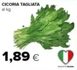 Tigre Cicoria tagliata offerta