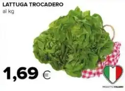 Tigre Lattuga trocadero offerta
