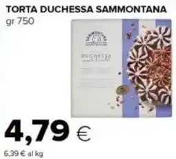 Tigre Torta duchessa SAMMONTANA offerta