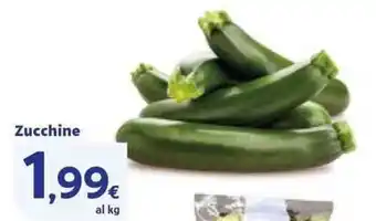 Sigma Zucchine offerta