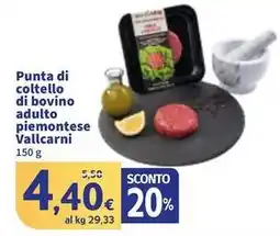 Sigma Punta di coltello di bovino adulto piemontese Vallcarni offerta
