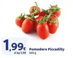 Sigma Pomodoro Piccadilly offerta