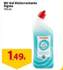 Sigma WC Gel Disincrostante Sigma offerta
