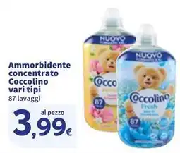Sigma Ammorbidente concentrato Coccolino offerta