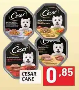 MEGA Cesar cane offerta