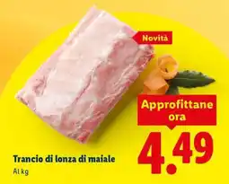 Lidl Trancio di lonza di maiale offerta