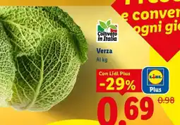 Lidl Verza offerta