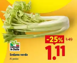 Lidl Sedano Verde offerta