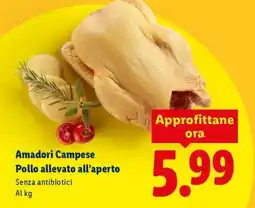 Lidl Amadori Campese Pollo allevato all'aperto offerta