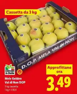 Lidl Mele Golden Val di Non DOP offerta