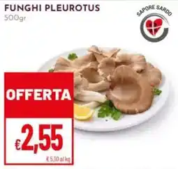 Pan Funghi pleurotus offerta