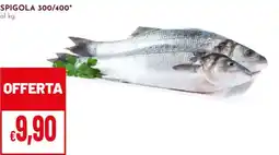 Pan Spigola 300/400 offerta