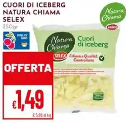 Pan Cuori di iceberg natura chiama SELEX offerta