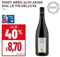 Pan Pinot nero alto adige doc LE VIE DELL'UVA offerta
