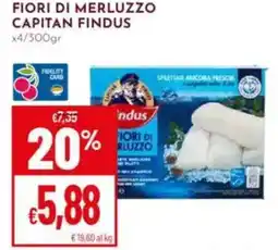 Pan Fiori di merluzzo CAPITAN FINDUS offerta