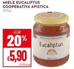 Pan Miele eucaliptus cooperativa apistica offerta