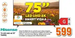 Expert Hisense TV LED UHD 4K 75" 75A69Q offerta