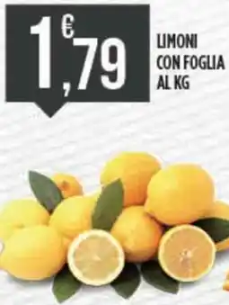 Euroesse Limoni con foglia offerta