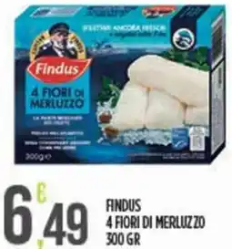 Euroesse Findus 4 fiori di merluzzo offerta