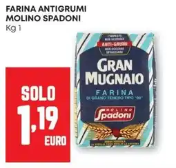 Pam Farina antigrumi MOLINO SPADONI offerta