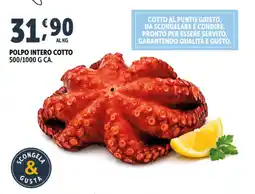 Deco Superfreddo Polpo intero cotto offerta