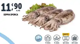 Deco Superfreddo Seppia sporca offerta