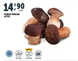 Deco Superfreddo Funghi porcini interi offerta