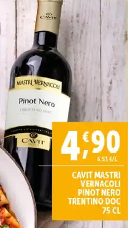 Deco Superfreddo Cavit mastri vernacoli pinot nero trentino doc offerta