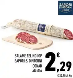 Conad City Salame felino igp SAPORI & DINTORNI CONAD offerta