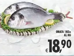 Deco Supermercati Orata offerta