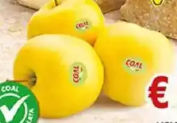 Coal Mele golden COAL offerta