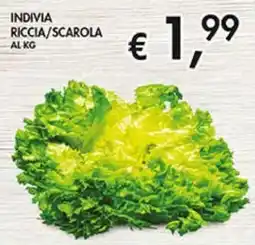 Coal Indivia riccia/scarola offerta