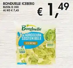 Coal Bonduelle iceberg offerta