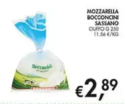 Coal Mozzarella bocconcini SASSANO offerta