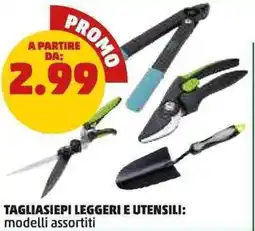 PENNY Tagliasiepi leggeri e utensili offerta