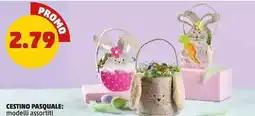 PENNY Cestino pasquale offerta