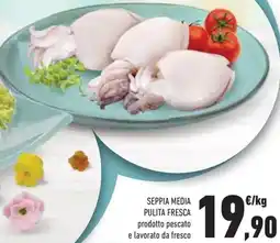 Conad Seppia media pulita fresca offerta