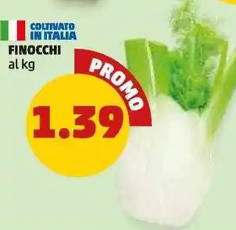 PENNY Finocchi offerta
