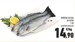 Conad Ombrina estera da oltre offerta