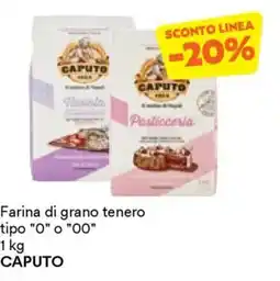 Unes Farina di grano tenero tipo "0" o "00" CAPUTO offerta