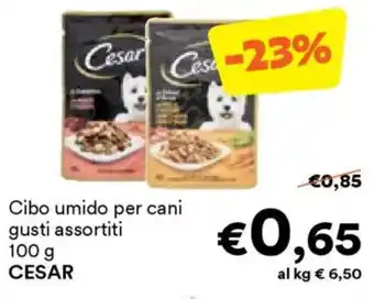 Unes Cibo umido per cani CESAR offerta