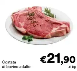 Unes Costata di bovino adulto offerta