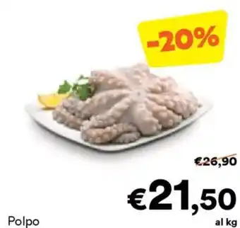 Unes Polpo offerta