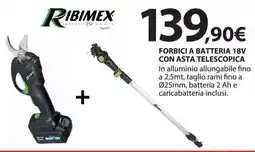 Kreo Brico e Casa RIBIMEX Forbici a batteria 18Vcon asta telescopica offerta