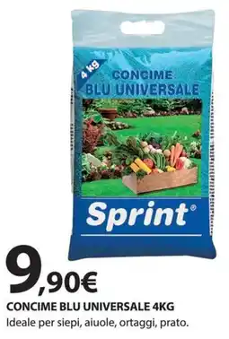 Kreo Brico e Casa Concime blu universale offerta