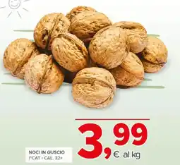 Todis Noci in guscio offerta